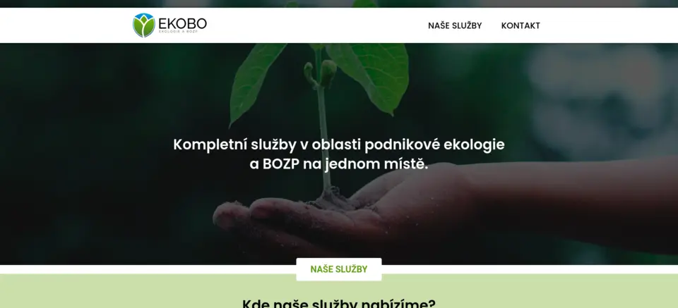 Preview of the website