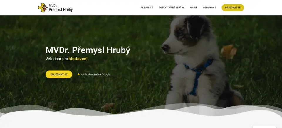 Preview of the website